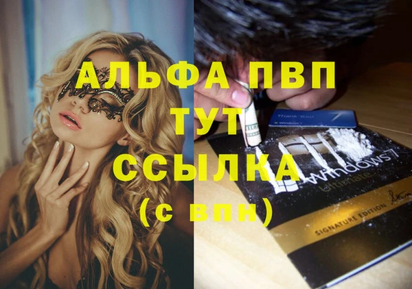 спайс Дмитриев