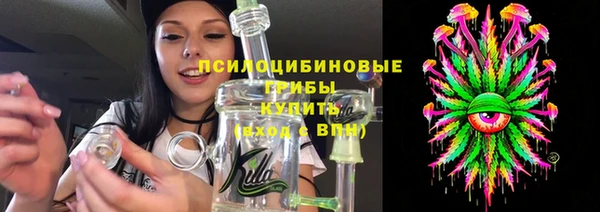 спайс Дмитриев