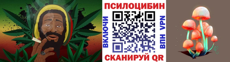 Купить где  Кораблино  Галлюциногенные грибы мицелий 